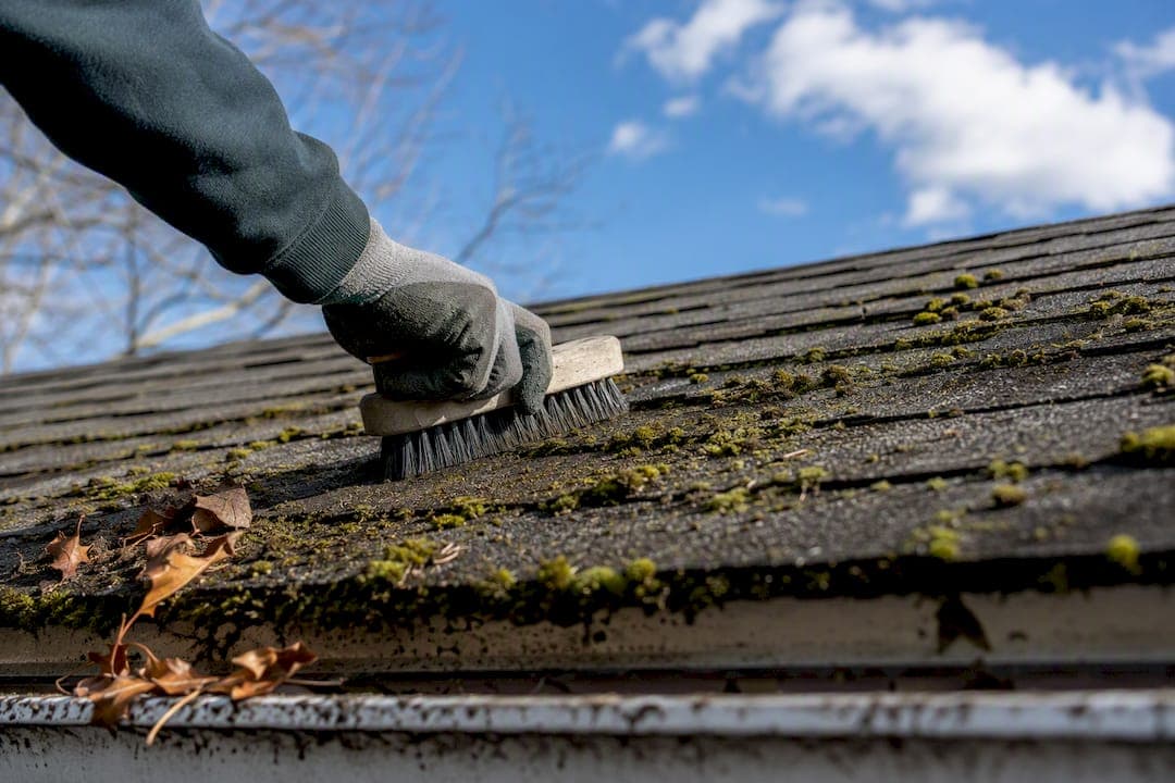How to Remove Moss From Your Roof Without Causing Damage